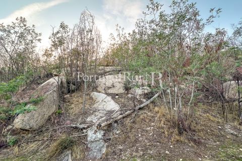 Helårsgrund i Castelo Branco, Castelo Branco, Castelo Branco - € 28.000 | Ref: 714-3 - foto 8