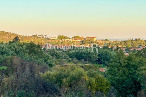 Helårsgrund i Castelo Branco, Castelo Branco, Castelo Branco - € 28.000 | Ref: 714-3 - foto 9