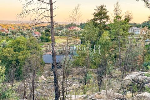 Helårsgrund i Castelo Branco, Castelo Branco, Castelo Branco - € 28.000 | Ref: 714-3 - foto 10