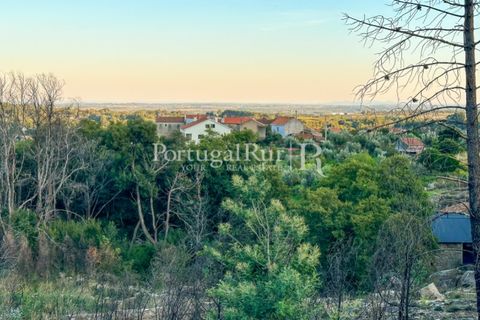 Helårsgrund i Castelo Branco, Castelo Branco, Castelo Branco - € 28.000 | Ref: 714-3 - foto 11