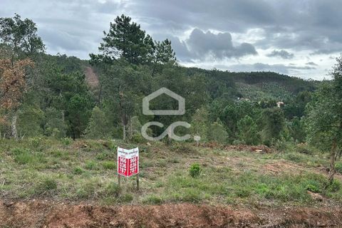 Helårsgrund i Coimbra, Coimbra, Coimbra - € 107.500 | Ref: 385/T/00604 - foto 2
