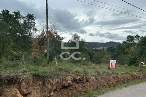 Helårsgrund i Coimbra, Coimbra, Coimbra - € 107.500 | Ref: 385/T/00604 - foto 5