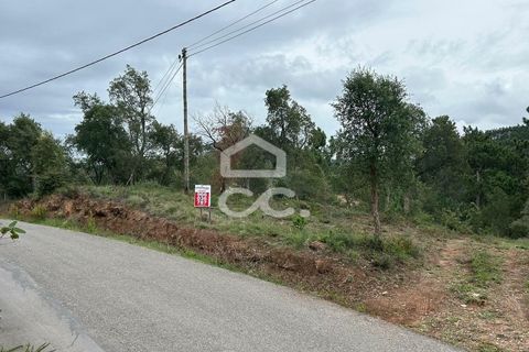 Helårsgrund i Coimbra, Coimbra, Coimbra - € 107.500 | Ref: 385/T/00604 - foto 8