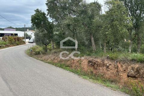 Helårsgrund i Coimbra, Coimbra, Coimbra - € 107.500 | Ref: 385/T/00604 - foto 9