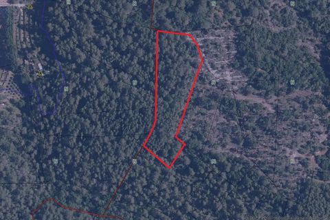 Terra a Carcès, Var, Carcès - € 5.400 | Ref: 3363 - foto 2