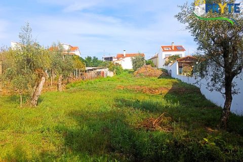 Helårsgrund i Serta, Castelo Branco, Serta - € 24.300 | Ref: MG133 - foto 6