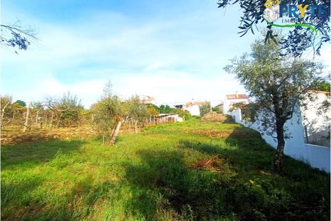 Helårsgrund i Serta, Castelo Branco, Serta - € 24.300 | Ref: MG133 - foto 7
