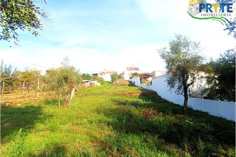 Helårsgrund i Serta, Castelo Branco, Serta - € 24.300 | Ref: MG133 - foto 8