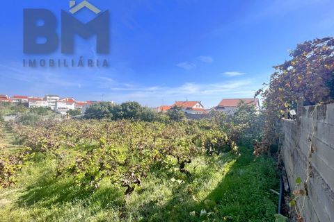Helårsgrund i Castelo Branco, Castelo Branco, Castelo Branco - € 69.500 | Ref: 4554 - foto 5