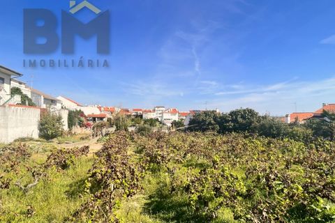 Helårsgrund i Castelo Branco, Castelo Branco, Castelo Branco - € 69.500 | Ref: 4554 - foto 6