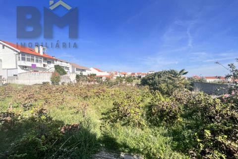 Helårsgrund i Castelo Branco, Castelo Branco, Castelo Branco - € 69.500 | Ref: 4554 - foto 7