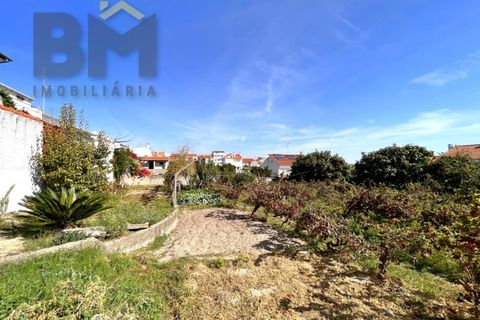 Helårsgrund i Castelo Branco, Castelo Branco, Castelo Branco - € 69.500 | Ref: 4554 - foto 9