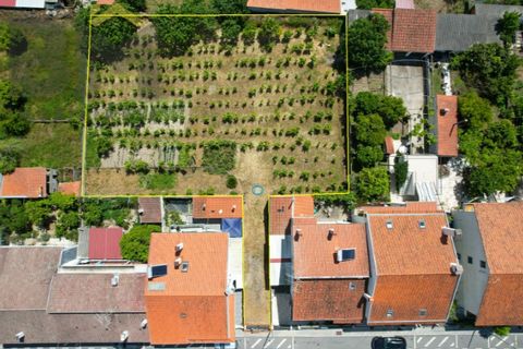 Helårsgrund i Castelo Branco, Castelo Branco, Castelo Branco - € 69.500 | Ref: 4554 - foto 2