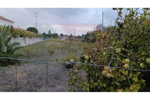 Helårsgrund i Entroncamento, Santarem, Entroncamento - € 110.000 | Ref: TER_49 - foto 1