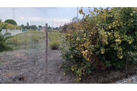 Helårsgrund i Entroncamento, Santarem, Entroncamento - € 110.000 | Ref: TER_49 - foto 3