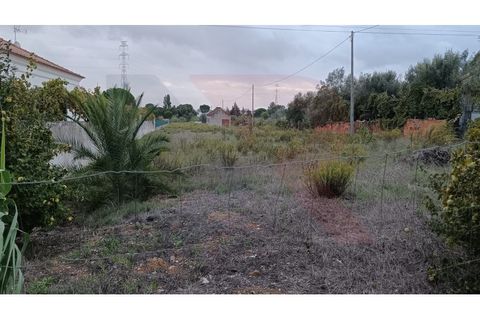 Helårsgrund i Entroncamento, Santarem, Entroncamento - € 110.000 | Ref: TER_49 - foto 4