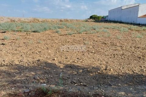 Terra a Aljustrel, Beja, Aljustrel - € 55.000 | Ref: JF-348EE - foto 2