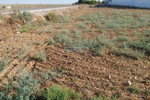 Terra a Aljustrel, Beja, Aljustrel - € 55.000 | Ref: JF-348EE - foto 3