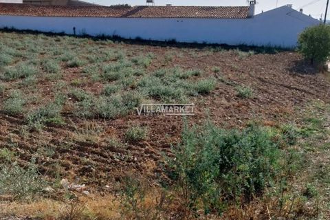 Terra a Aljustrel, Beja, Aljustrel - € 55.000 | Ref: JF-348EE - foto 4