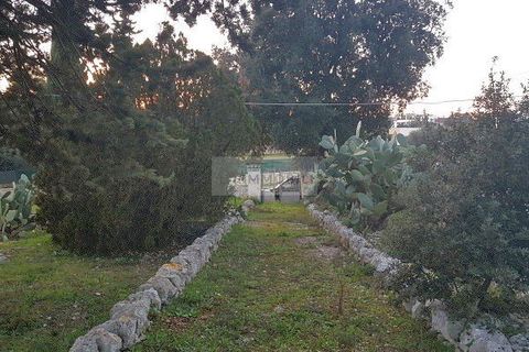 Landejendom i Ostuni, Brindisi, Ostuni - € 149.000 | Ref: tr11 - foto 33