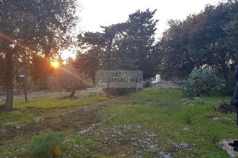 Landejendom i Ostuni, Brindisi, Ostuni - € 149.000 | Ref: tr11 - foto 25