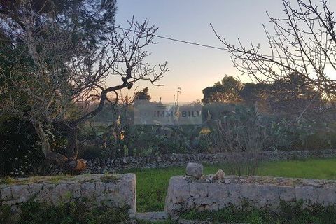 Landejendom i Ostuni, Brindisi, Ostuni - € 149.000 | Ref: tr11 - foto 12