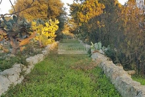 Landejendom i Ostuni, Brindisi, Ostuni - € 149.000 | Ref: tr11 - foto 38