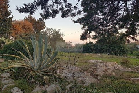 Landejendom i Ostuni, Brindisi, Ostuni - € 149.000 | Ref: tr11 - foto 29
