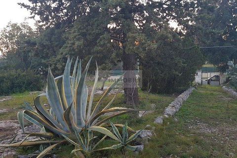 Landejendom i Ostuni, Brindisi, Ostuni - € 149.000 | Ref: tr11 - foto 32