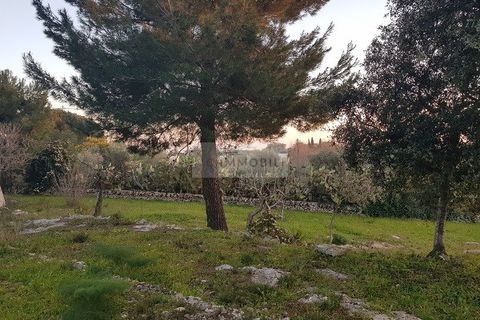 Landejendom i Ostuni, Brindisi, Ostuni - € 149.000 | Ref: tr11 - foto 26