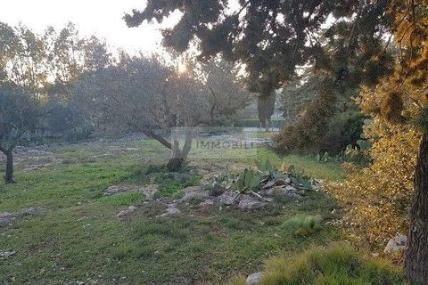 Landejendom i Ostuni, Brindisi, Ostuni - € 149.000 | Ref: tr11 - foto 27