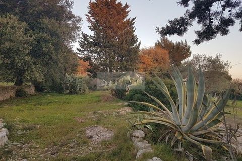 Landejendom i Ostuni, Brindisi, Ostuni - € 149.000 | Ref: tr11 - foto 31