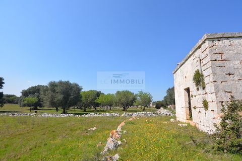 Terra a Ostuni, Brindisi, Ostuni - € 200.000 | Ref: Sold  tr41 - foto 16