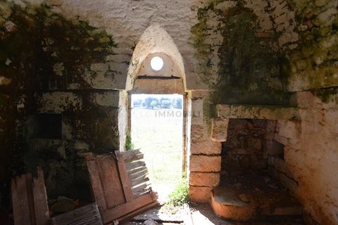 Terra a Ostuni, Brindisi, Ostuni - € 200.000 | Ref: Sold  tr41 - foto 14