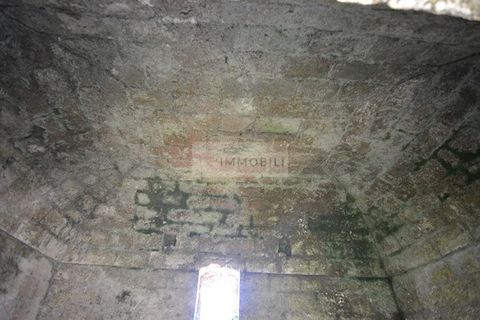 Terra a Ostuni, Brindisi, Ostuni - € 200.000 | Ref: Sold  tr41 - foto 8