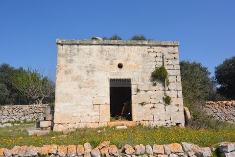 Terra a Ostuni, Brindisi, Ostuni - € 200.000 | Ref: Sold  tr41 - foto 11