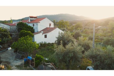 Byhus i Castelo de Vide, Portalegre, Castelo de Vide - € 115.000 | Ref: HAB_55 - foto 32