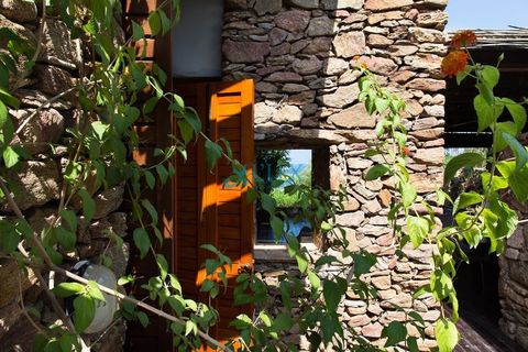 Villa i Portisco, Olbia Tempio, Portisco - € 900.000 | Ref: 1261 - foto 14