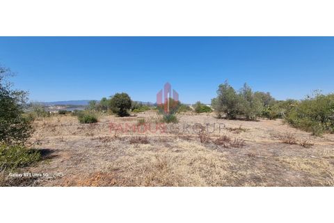 Helårsgrund i Estombar, Faro, Estombar - € 434.900 | Ref: 269/2023 - foto 13