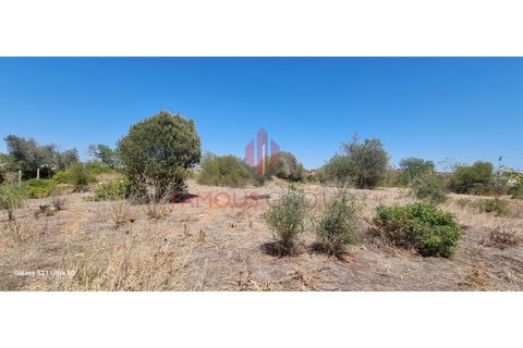 Helårsgrund i Estombar, Faro, Estombar - € 434.900 | Ref: 269/2023 - foto 15