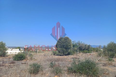 Helårsgrund i Estombar, Faro, Estombar - € 434.900 | Ref: 269/2023 - foto 16