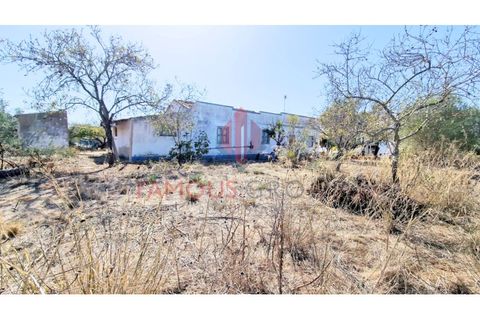 Helårsgrund i Estombar, Faro, Estombar - € 434.900 | Ref: 269/2023 - foto 21