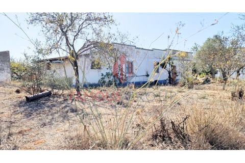 Helårsgrund i Estombar, Faro, Estombar - € 434.900 | Ref: 269/2023 - foto 23