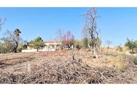 Helårsgrund i Estombar, Faro, Estombar - € 434.900 | Ref: 269/2023 - foto 24