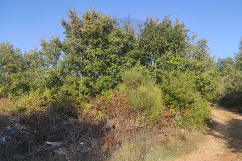 Tomt i Fatima, Santarem, Fatima - € 10 000 | Ref: C0269-01646 - foto 3