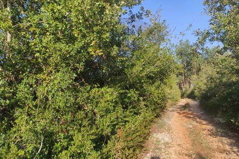 Tomt i Fatima, Santarem, Fatima - € 10 000 | Ref: C0269-01646 - foto 4