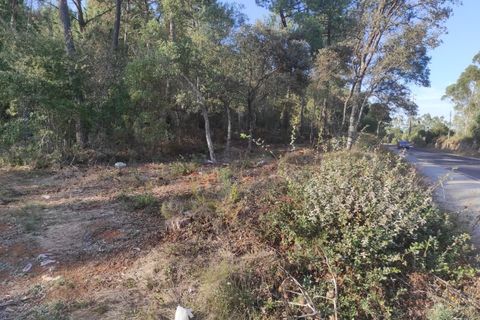 Terra a Fatima, Santarem, Fatima - € 15.000 | Ref: C0269-01647 - foto 3