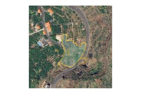 Helårsgrund i Arco da Calheta, Madeira, Arco da Calheta - € 550.000 | Ref: RHG23025 - foto 1