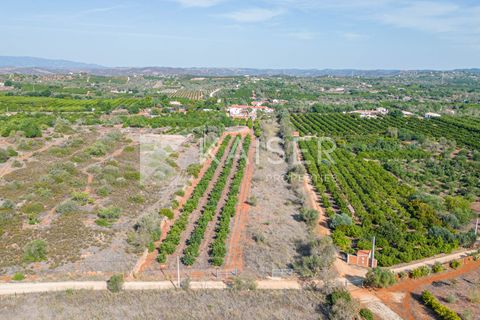 Villa i Silves, Faro, Silves - € 725.000 | Ref: KP1179P - foto 21