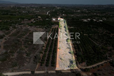 Villa i Silves, Faro, Silves - € 725.000 | Ref: KP1179P - foto 22